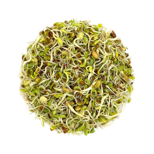 Preview-1Mix Seeds for Sprouting