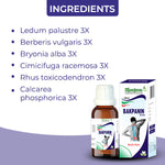 Bakpanin