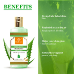 Khadi Care Herbal Aloevera Moisturizer - 210ml