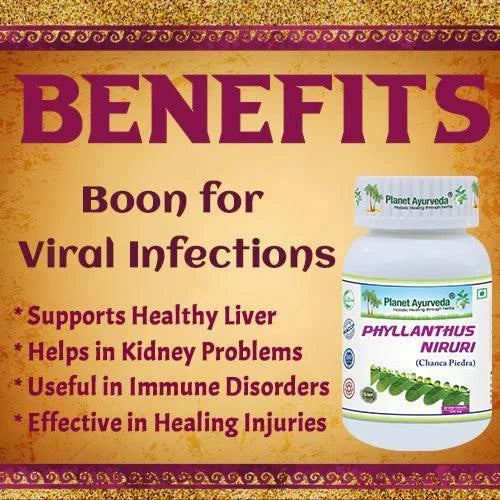 Planet Ayurveda Phyllanthus Niruri Capsule - 60 Capsules