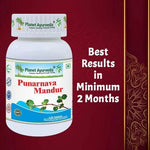 Planet Ayurveda Punarnava Mandur Tablet - 120 Tablets