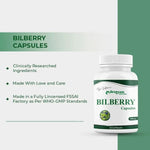 Dr. Satnam’s Arogyam Ayurveda Bilberry Capsules (500mg, 60 Capsules) | Anthocyanin-Rich Bilberry Extract for Vision Support, Eye Strain Relief & Vascular Health