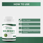 Dr. Satnam’s Arogyam Ayurveda Bilberry Capsules (500mg, 60 Capsules) | Anthocyanin-Rich Bilberry Extract for Vision Support, Eye Strain Relief & Vascular Health