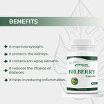 Dr. Satnam’s Arogyam Ayurveda Bilberry Capsules (500mg, 60 Capsules) | Anthocyanin-Rich Bilberry Extract for Vision Support, Eye Strain Relief & Vascular Health