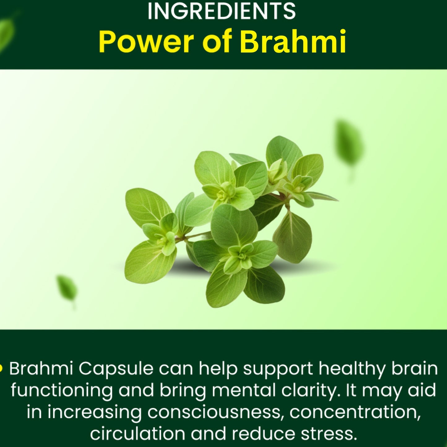Cipzer Brahmi Capsule