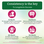 Moderate Calorie Crusher Tablet - 30 Tablets (Tin Box)