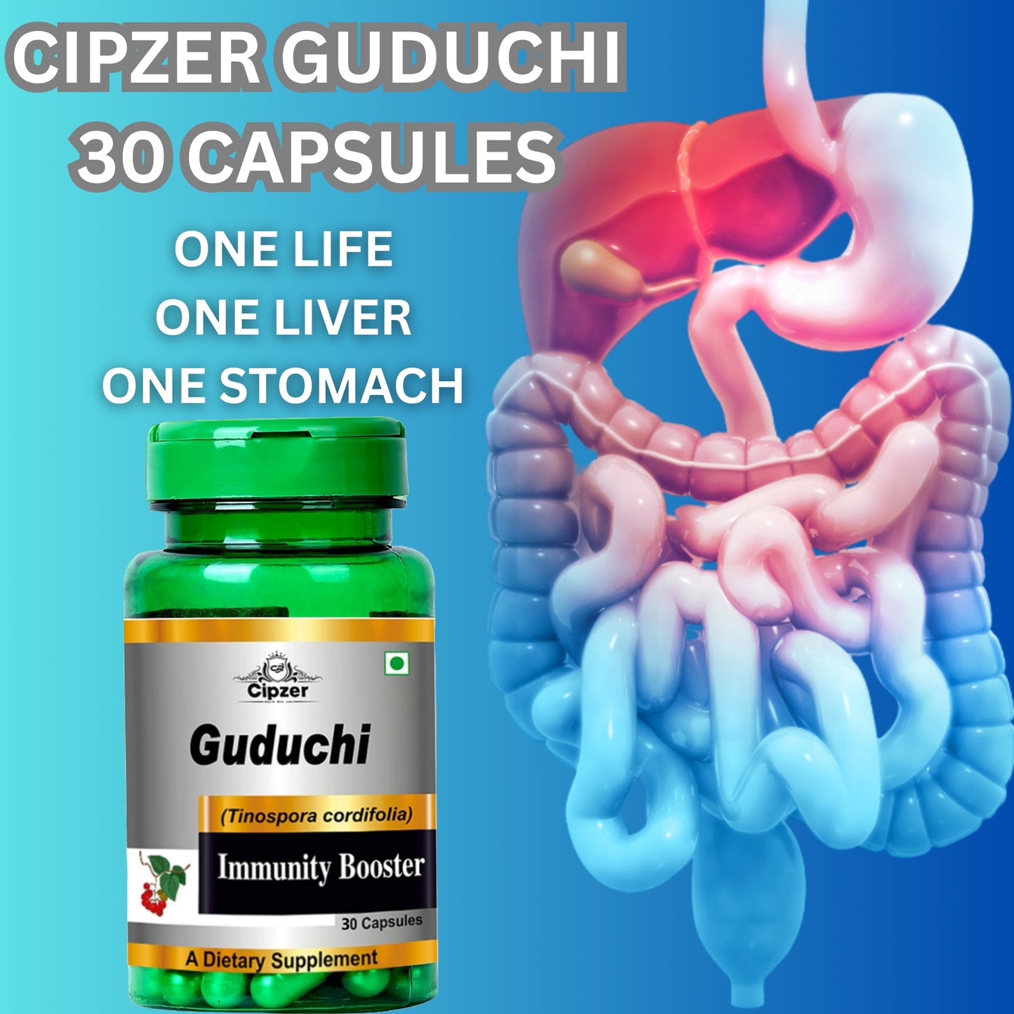 Cipzer Guduchi Capsule