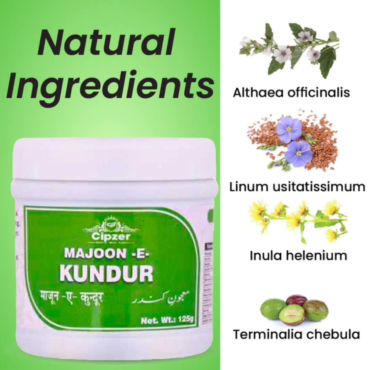 Cipzer Majoon-E-Kundur - 125gm | Herbal Support for Kidney, Gallbladder, Memory, Nerves & Digestion