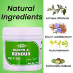 Cipzer Majoon-E-Kundur - 125gm | Herbal Support for Kidney, Gallbladder, Memory, Nerves & Digestion