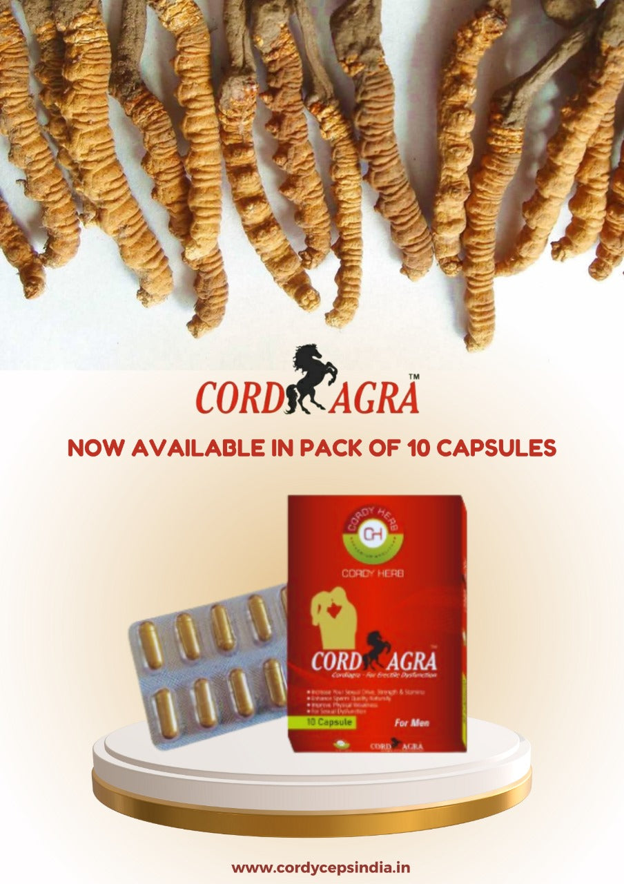 Cordy Herb Cordiagra Capsule Stamina & Energy Booster, Men's Sexual Wellness Capsule for with Cordyceps, Honey Goat Weed,Tongat Ali, Maca Root , Ginseng , Ashwagandha Capsule