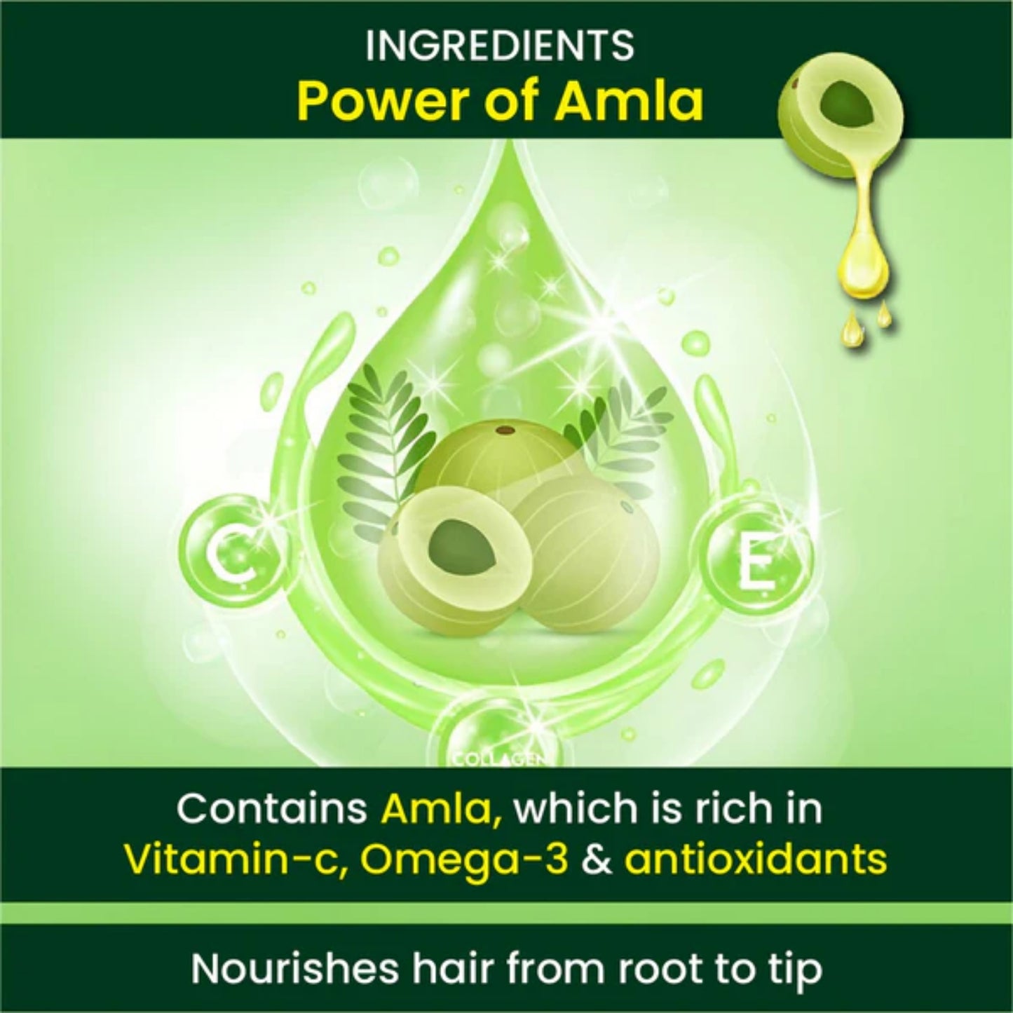 Cipzer Raughan-e-Aamla Hair Oil - 200ml | Herbal Hair Oil for Growth, Dandruff, Hair Fall, Grey Hair & Scalp Care