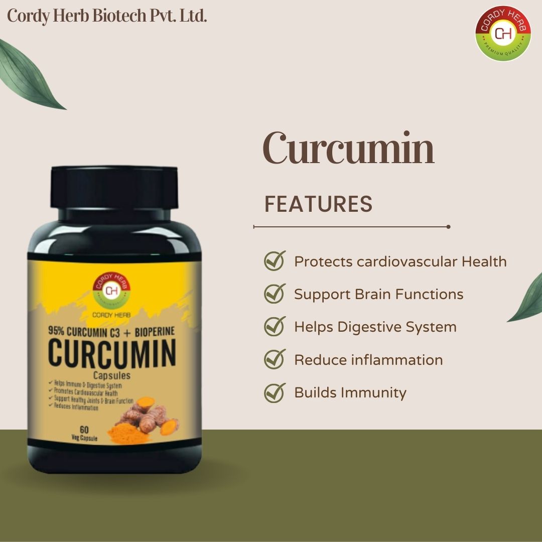 Cordy Herb 95% Curcumin C3 + Bioperine Curcumin Veg Capsule - 60 Capsules