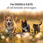 Cerafa Fur Conditioning Shampoo for Dogs & Cats | Herbal Pet Coat Cleansing & Conditioning | 99% Natural Ingredients | 200 ml