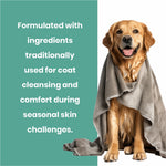 Cerafa Neem Shampoo for Dogs & Cats | Herbal Pet Skin & Coat Cleansing | With Neem, Turmeric & Aloe Vera | 200 ml