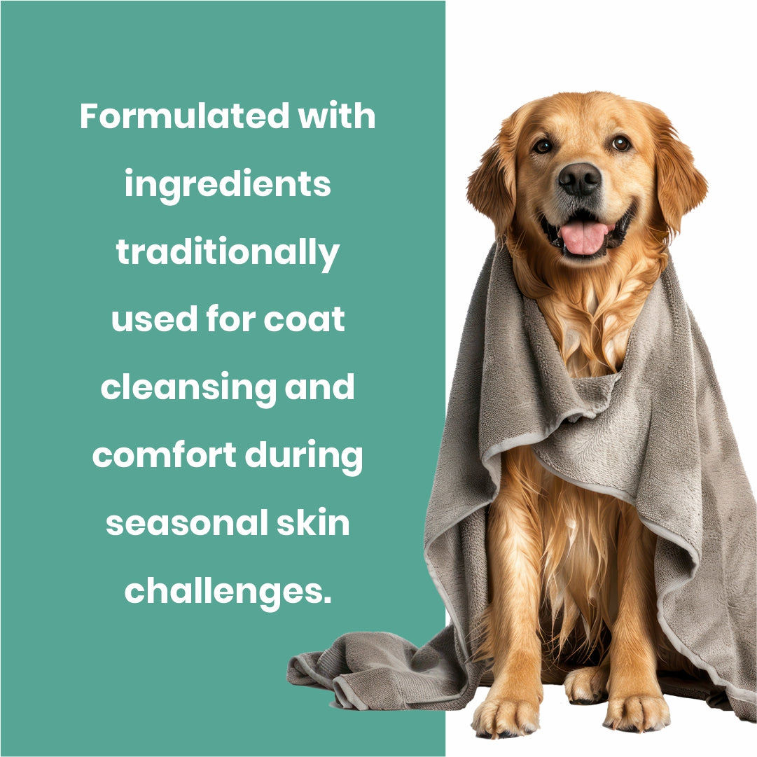 Cerafa Neem Shampoo for Dogs & Cats | Herbal Pet Skin & Coat Cleansing | With Neem, Turmeric & Aloe Vera | 200 ml