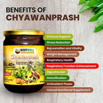 BodyWell Chyawanprash with 40+ Ayurvedic Herbs - 600gm