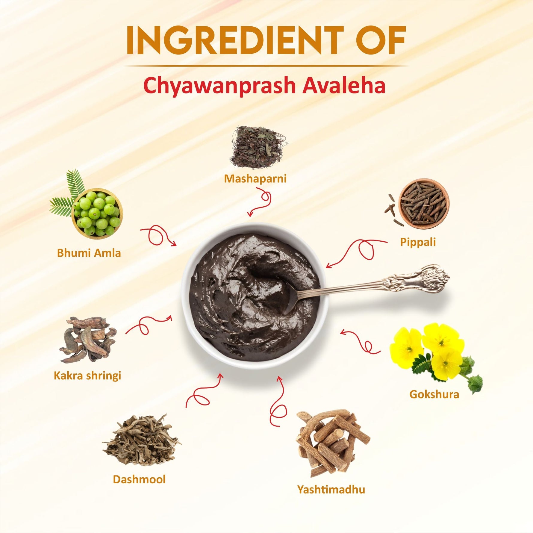 Swadeshi Special Ayurvedic Chyawanprash Herbal Immunity Booster, 1kg