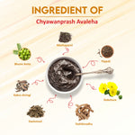 Swadeshi Ayurved Chyawanprash Avaleha – Ayurvedic Immunity Booster with Natural Herbs for Energy, Wellness & Respiratory Health