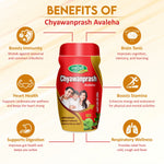 Swadeshi Special Ayurvedic Chyawanprash Herbal Immunity Booster, 1kg