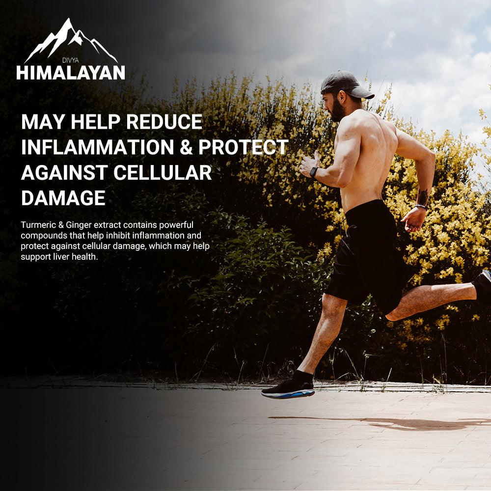 Divya Himalayan Liver Amrit Tablet