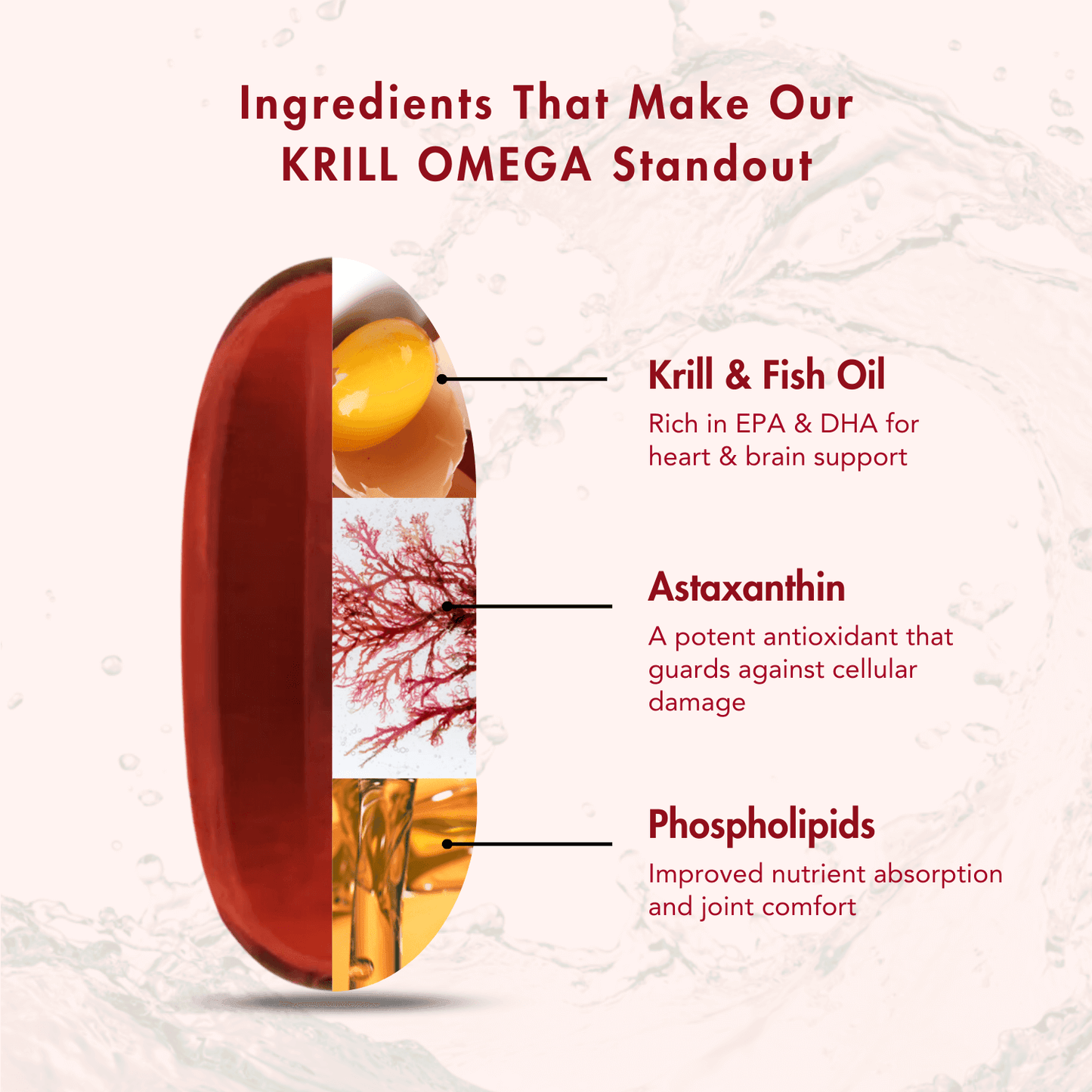 Wishnew Wellness Krill Omega Complex Heart & Brain Health Softgel Capsules - 60 Softgel Capsules