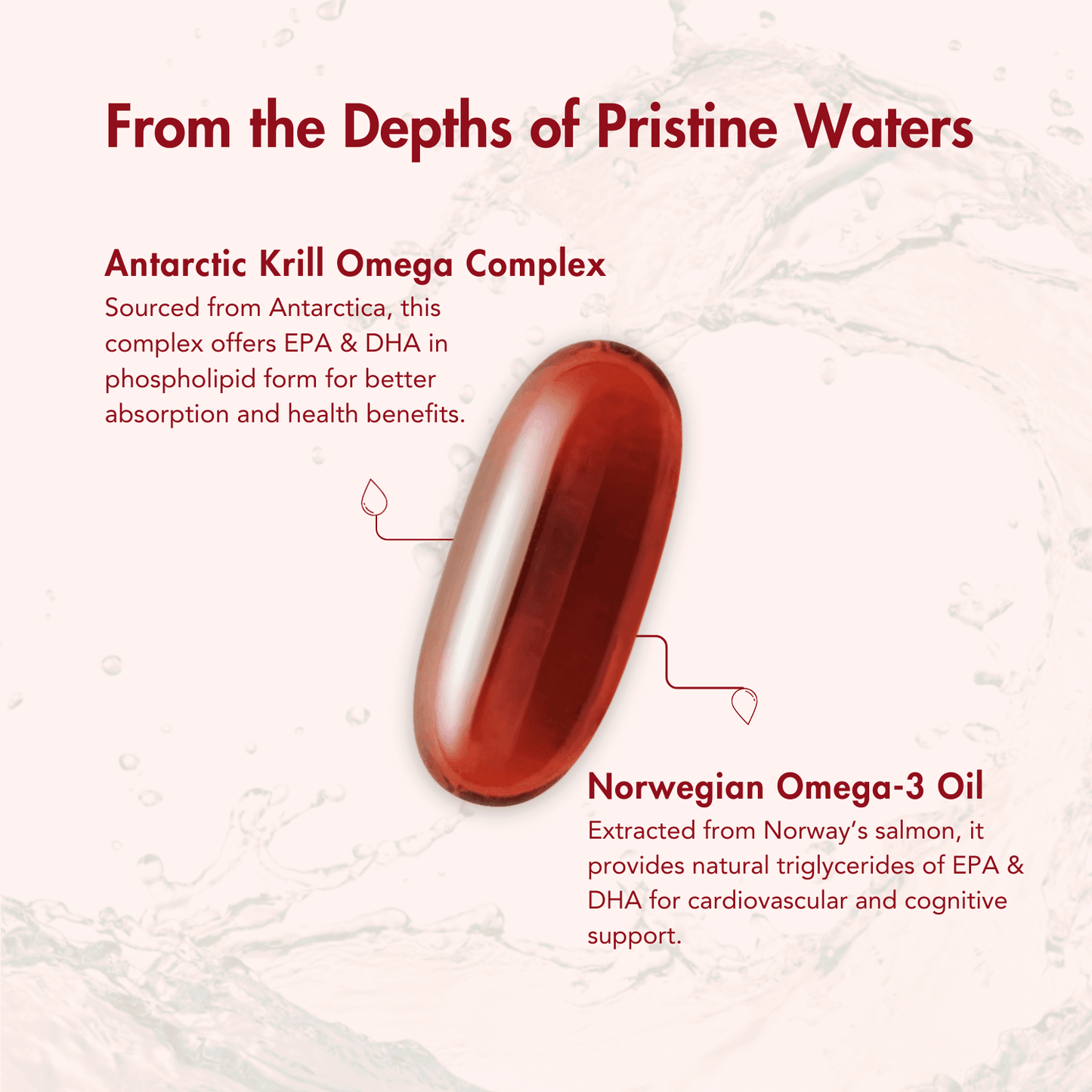 Wishnew Wellness Krill Omega Complex Heart & Brain Health Softgel Capsules - 60 Softgel Capsules