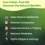 Vyas Ayurvedic Vitamin B12 Natural Powder