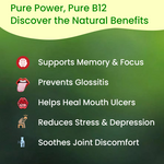 Vyas Ayurvedic Vitamin B12 Natural Powder