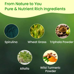 Vyas Ayurvedic Vitamin B12 Natural Powder