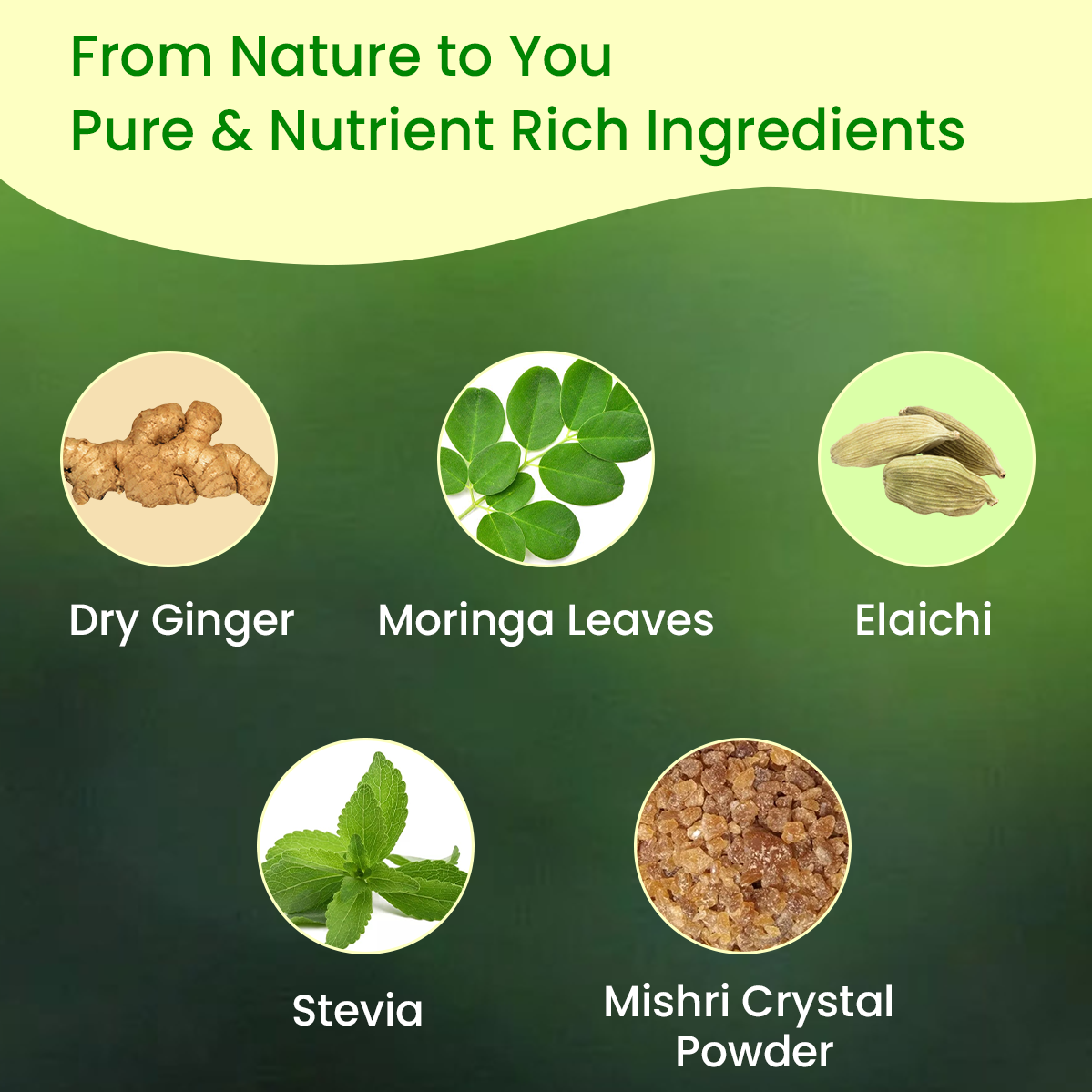 Vyas Ayurvedic Vitamin B12 Natural Powder