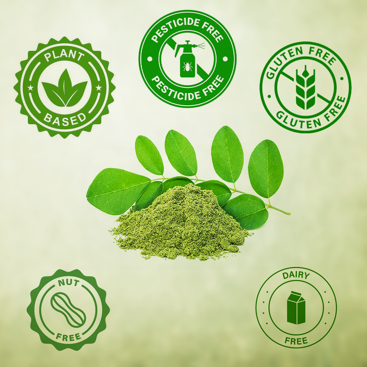 Vyas Ayurvedic Organically Cultivated Moringa Leaf Powder