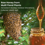 Vyas Ayurvedic Wild Forest Multi flora Raw Honey
