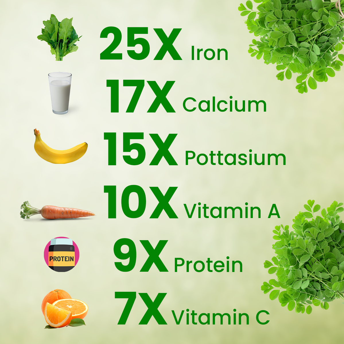 Vyas Ayurvedic Organically Cultivated Moringa Leaf Powder