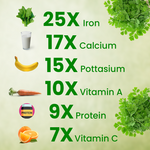 Vyas Ayurvedic Organically Cultivated Moringa Leaf Powder