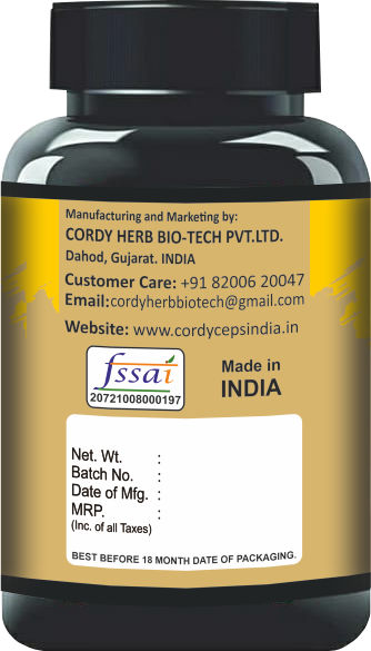 Cordy Herb 95% Curcumin C3 + Bioperine Curcumin Veg Capsule - 60 Capsules