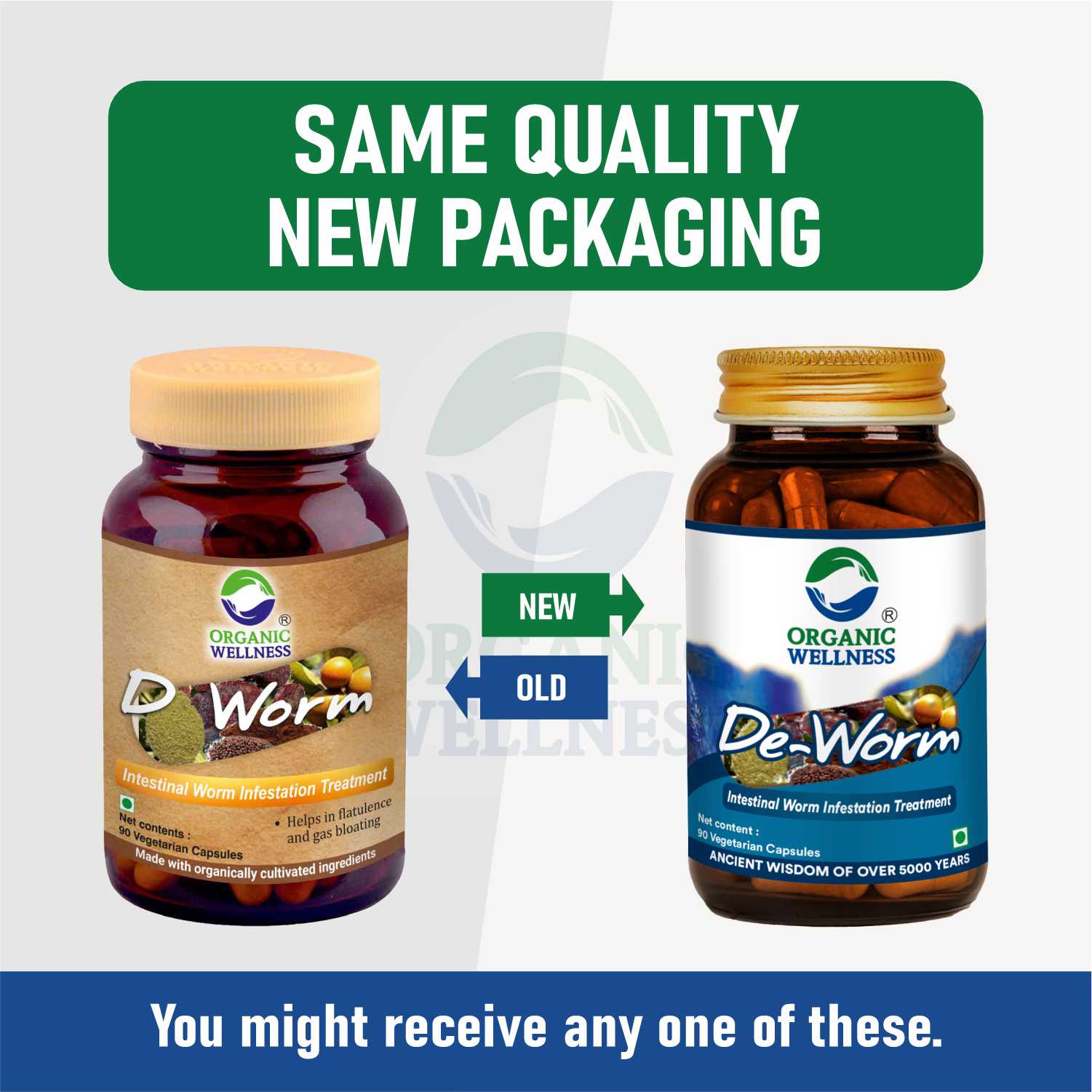 Organic Wellness De Worm Capsules - 90 Vegetarian Capsules