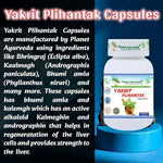 Planet Ayurveda Yakrit Plihantak Capsules - 60 Caps | Liver & Spleen Support