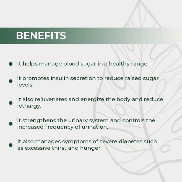 Dr. Satnam's Arogyam Diabetes Health Combo