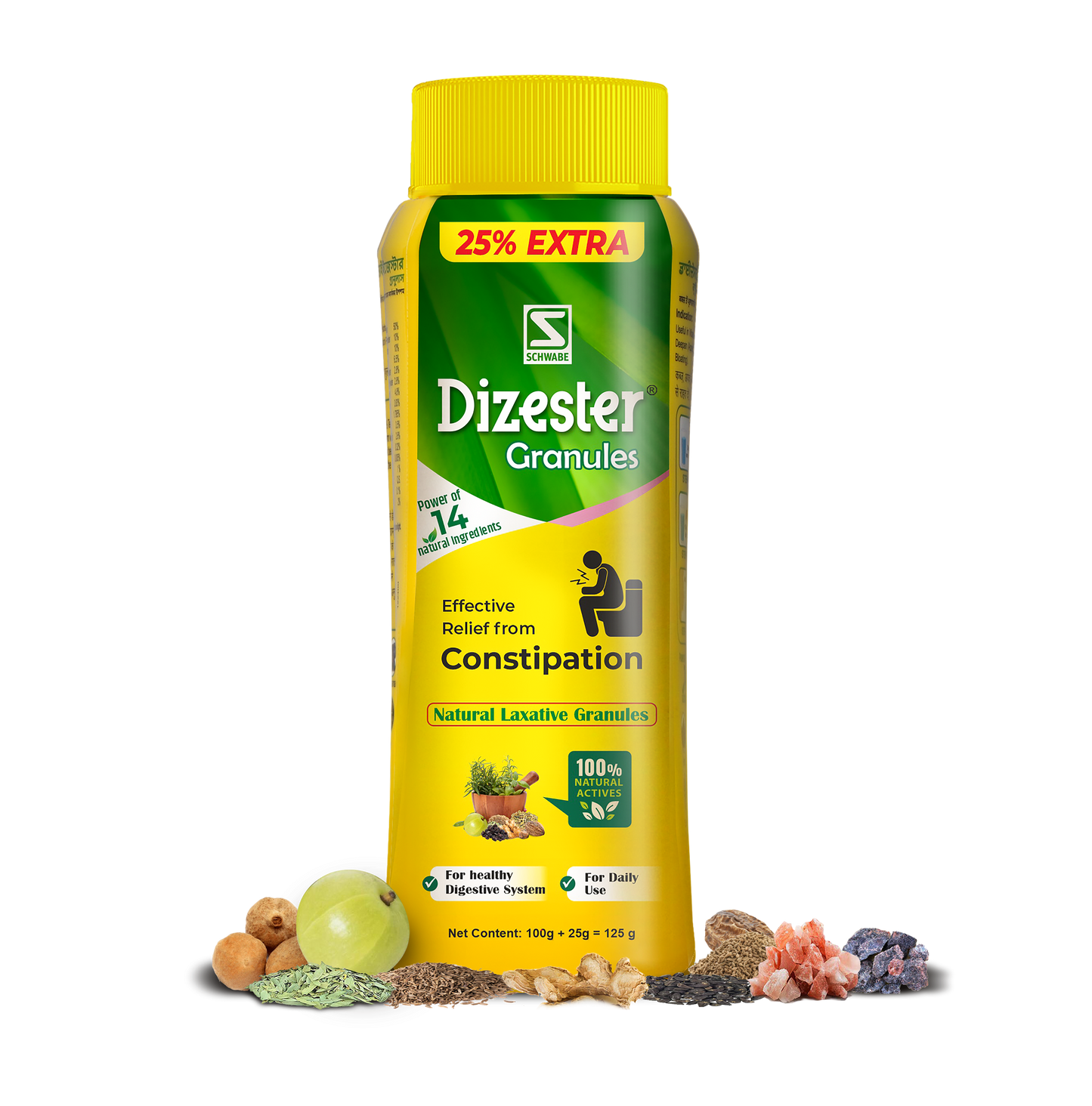 Schwabe Dizester Granules - 125gm