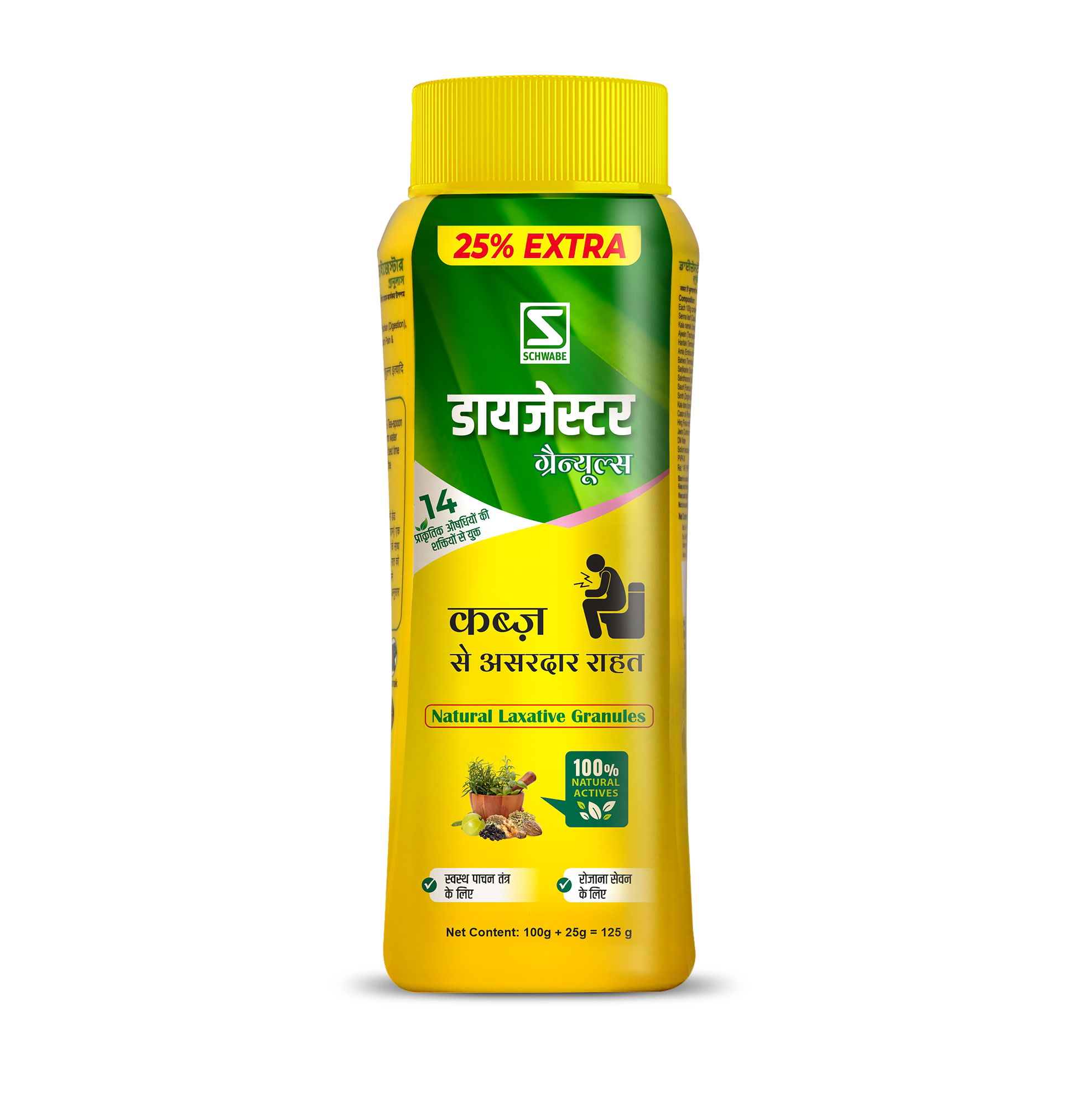 Schwabe Dizester Granules - 125gm