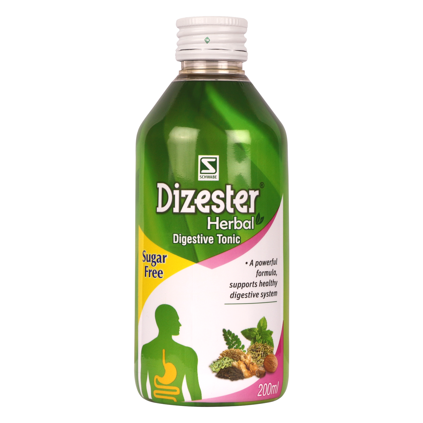 Dr Willmar Schwabe India Dizester Digestive Tonic Sugar Free