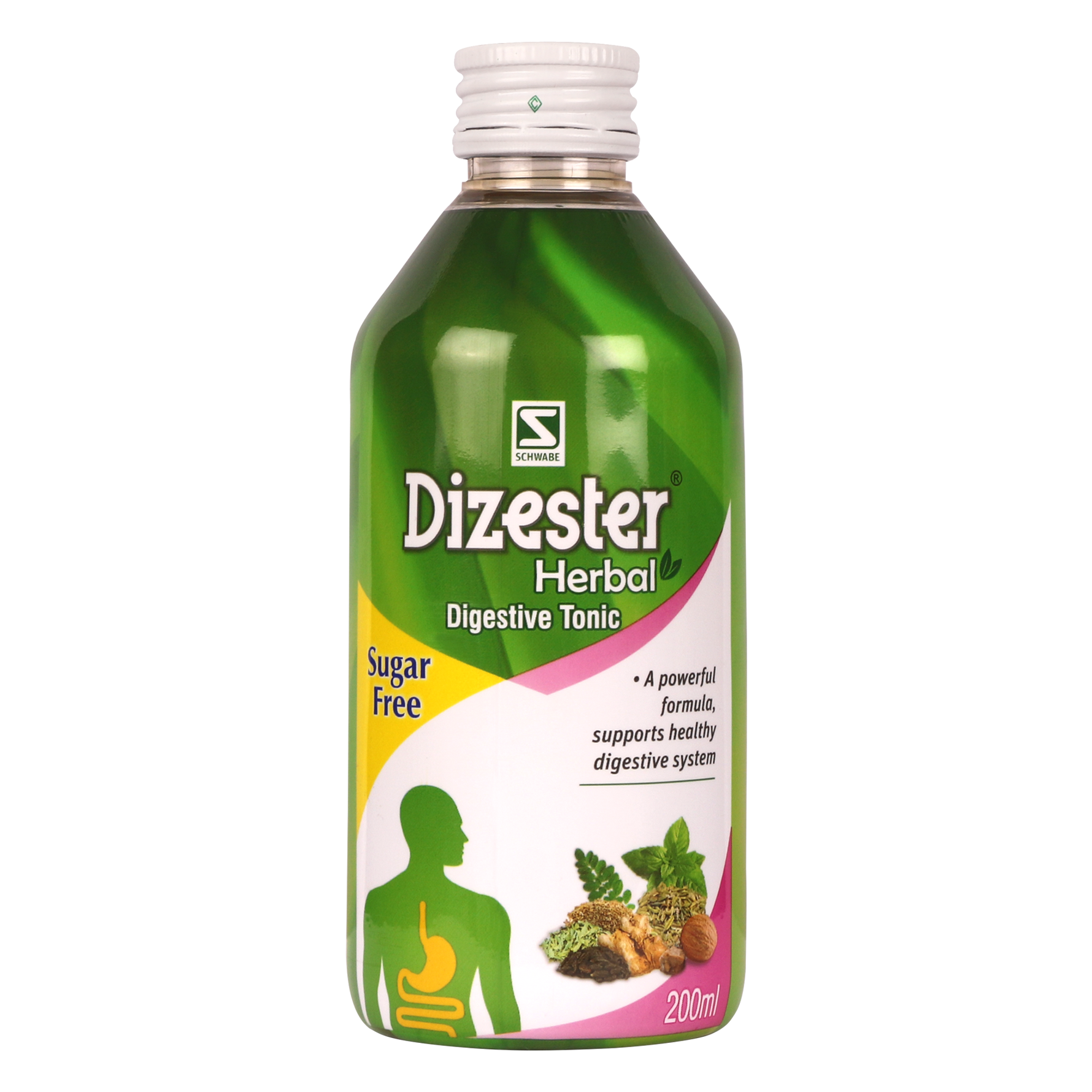 Dr Willmar Schwabe India Dizester Digestive Tonic Sugar Free