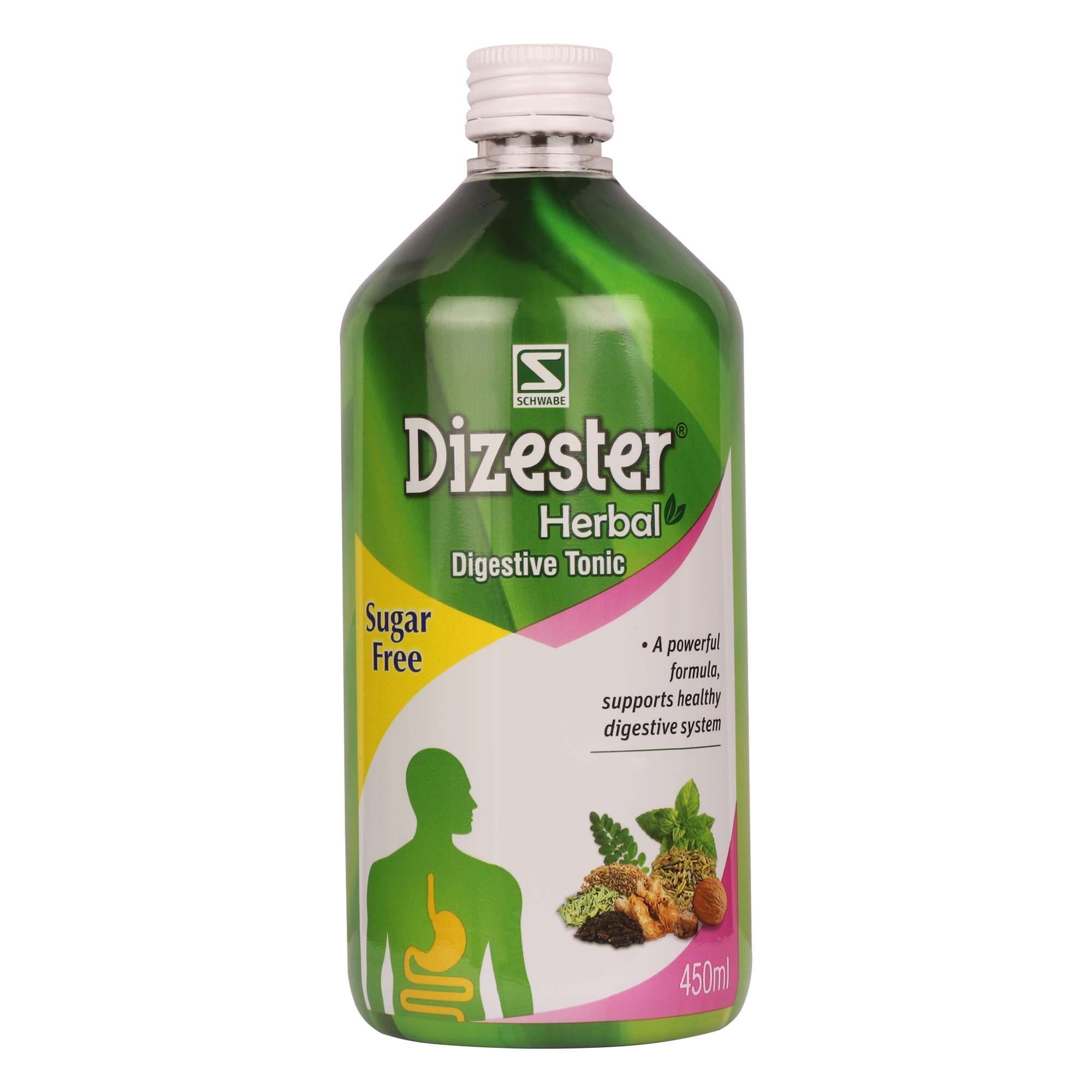 Dr Willmar Schwabe India Dizester Digestive Tonic Sugar Free