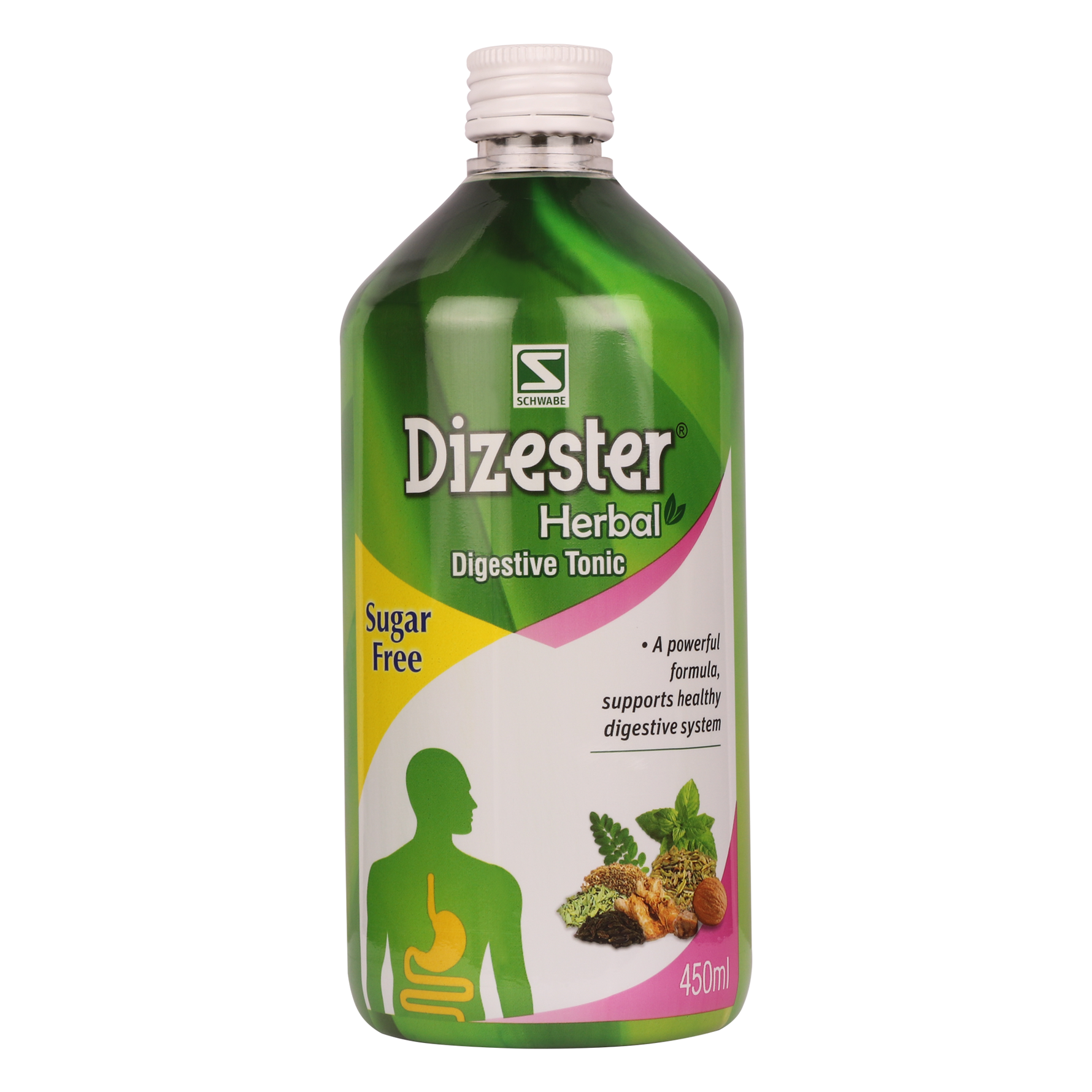 Dr Willmar Schwabe India Dizester Digestive Tonic Sugar Free