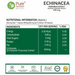 Pure Nutrition Echinacea Purpurea Extract 400mg – 60 Capsules | Herbal Immune Support