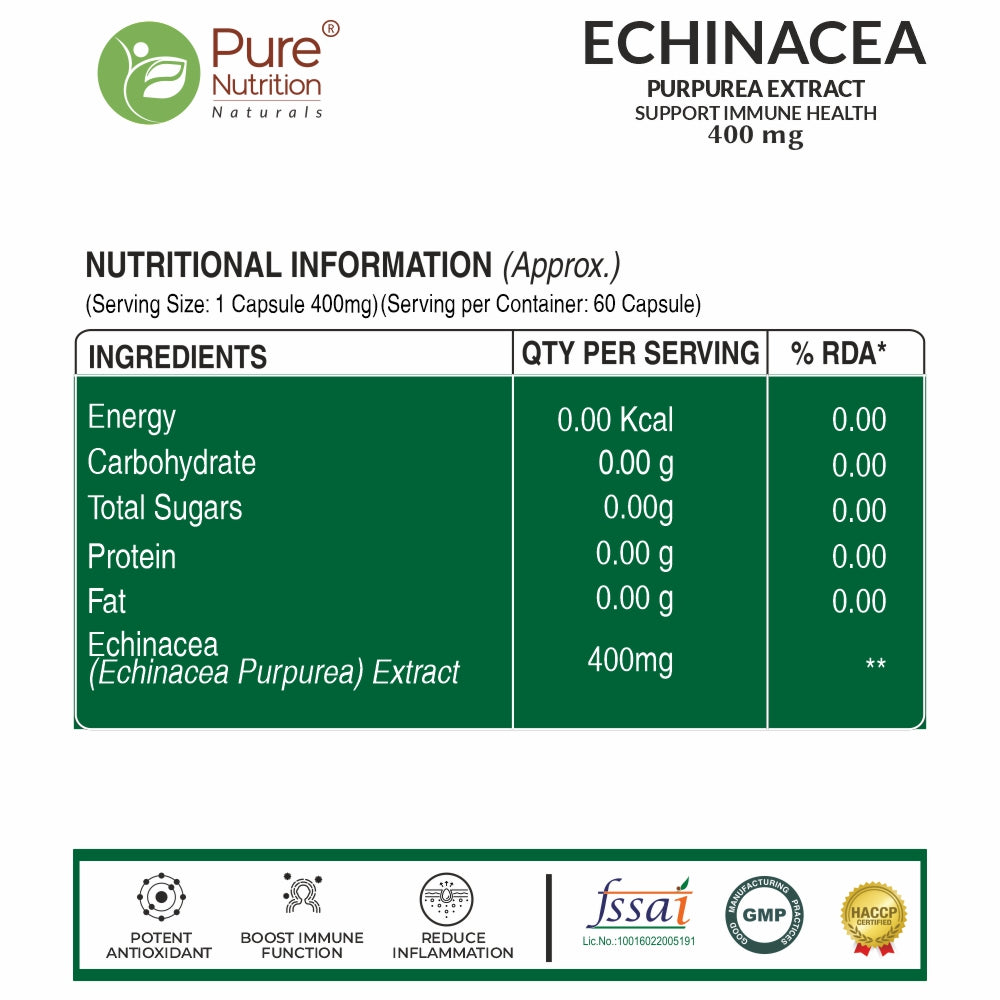 Pure Nutrition Echinacea Purpurea Extract 400mg – 60 Capsules | Herbal Immune Support