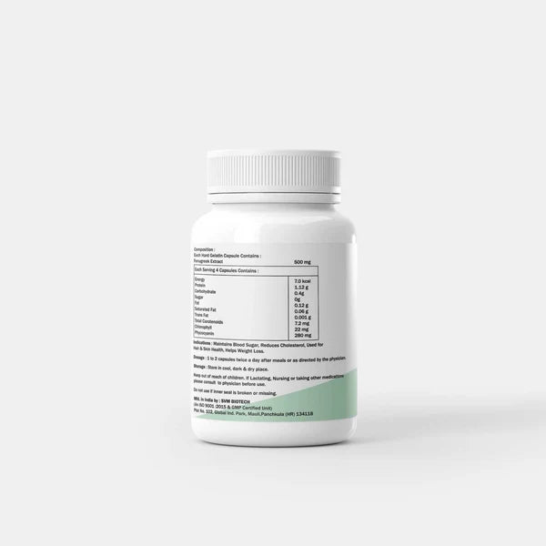 Dr. Satnam's Arogyam Ayurveda Fenugreek 500mg Capsule (30 Each)