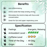 Radhikas Fine Teas Festive Herbal Collection – Sage, Oregano, Rosemary, Turmeric Tulsi & Ginger Chai - 50gm