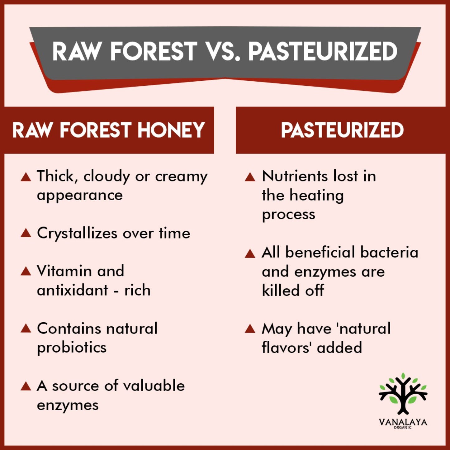 Vanalaya 100% Natural Forest Honey - Raw, Unprocessed, Unpasteurized, Pure Honey