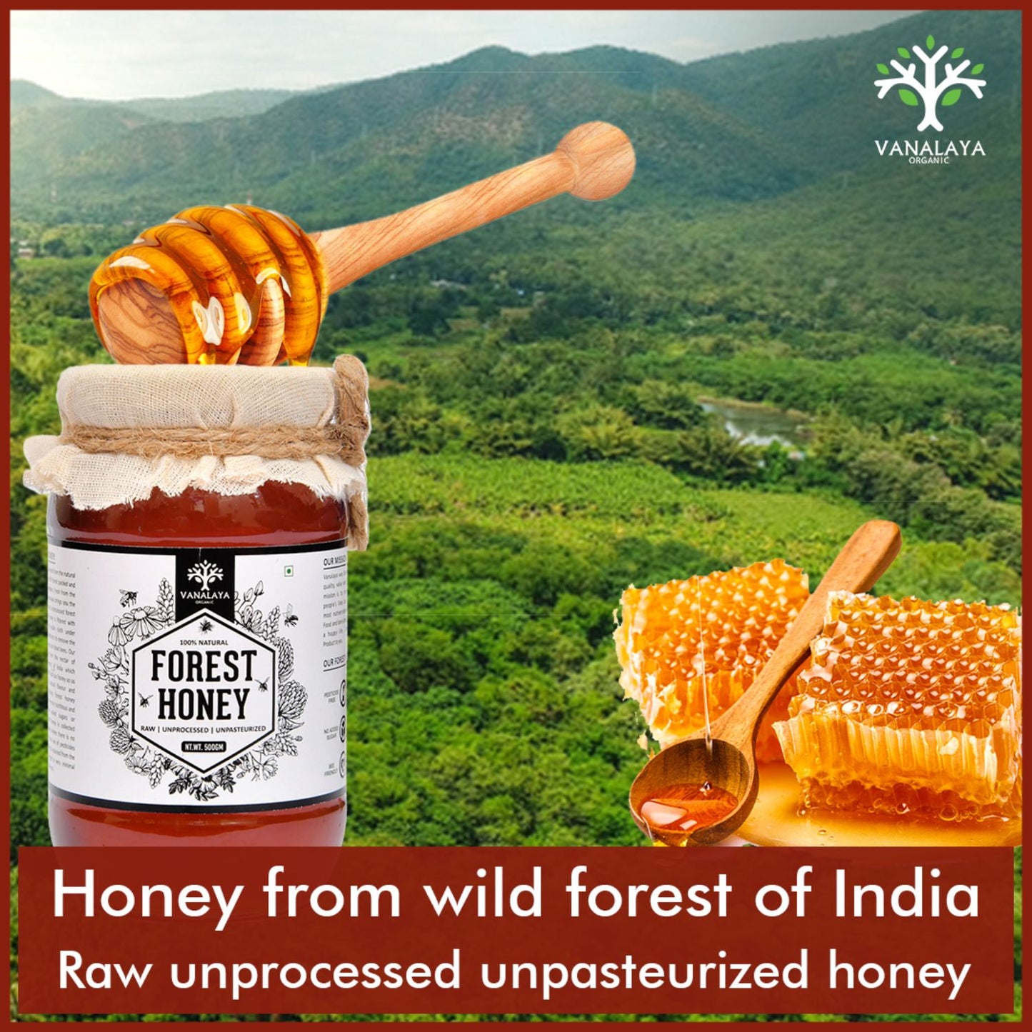 Vanalaya 100% Natural Forest Honey - Raw, Unprocessed, Unpasteurized, Pure Honey
